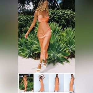 NWT Midi Dress (Princess Polly)